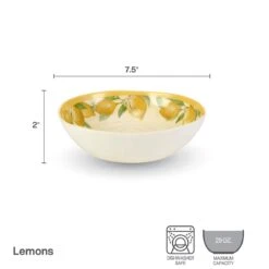 Lemons Set Of 4 Outdoor Melamine Soup Cereal Bowls -Home Tableware 5293373 bowl infographic