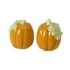 Plymouth Pumpkin Salt And Pepper Set -Home Tableware plymouth pumpkin salt and pepper set 5102521 1